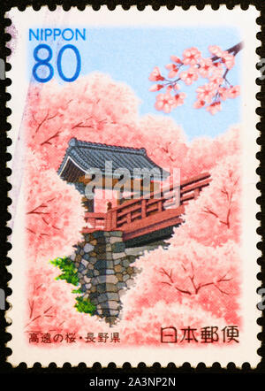 Les fleurs de cerisier sur timbre-poste du Japon Banque D'Images