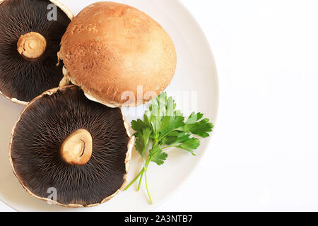 Champignons Portobello brut frais isolé sur fond blanc. Vue d'en haut Banque D'Images