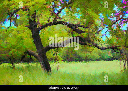 Illustration d'un vieil arbre. Banque D'Images