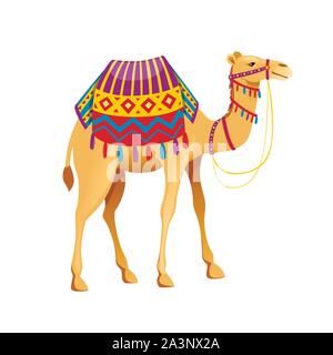 Camel hump deux mignon avec bride et selle cartoon animal télévision design vector illustration isolé sur fond blanc. Illustration de Vecteur