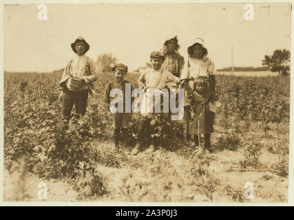 Slebzak (polonais) de la famille travaillant sur Bot[t]omley farm, près de Baltimore (MD), ils ont travaillé ici 3 ans et un hiver à Avery Island, en Louisiane. Tous les travaux sauf les très petites. Elle se bloque autour des champs. Commencer à travailler vers 4 heures du matin et parfois jusqu'au coucher du soleil. (Voir n° 838). Banque D'Images