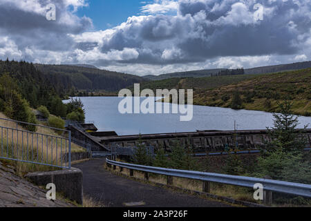Banagher Glen, Dungiven, le comté de Londonderry, Irlande du Nord Banque D'Images