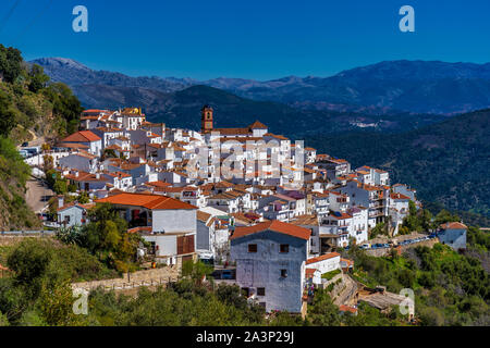 Village andalou blanc, Pueblo Blanco Algatocin. Province de Malaga, Espagne Banque D'Images