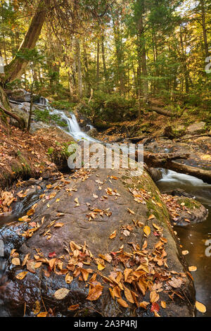 De faibles niveaux d'eau au débit Potts Falls à Bracebridge (Ontario) sur une belle journée d'automne Octobre crips. Banque D'Images