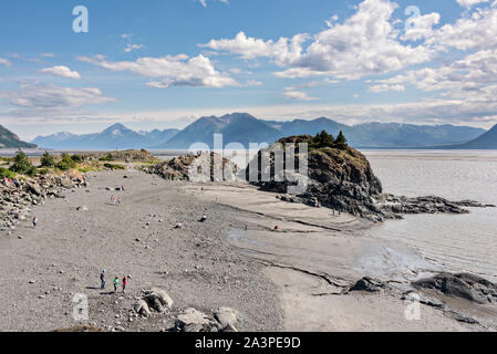 Les visiteurs l'alésage de marée Point béluga le long du Turnagain Arm à l'extérieur d'Anchorage, en Alaska. Banque D'Images