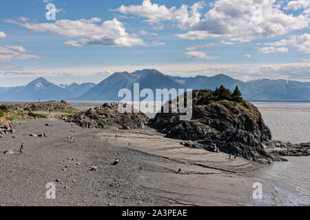 Les visiteurs l'alésage de marée Point béluga le long du Turnagain Arm à l'extérieur d'Anchorage, en Alaska. Banque D'Images