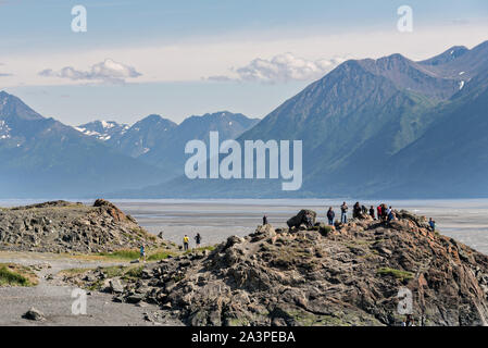 Les visiteurs l'alésage de marée Point béluga le long du Turnagain Arm à l'extérieur d'Anchorage, en Alaska. Banque D'Images