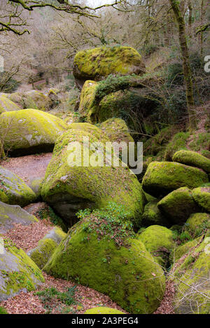 L'hiver en Bretagne. Dans la forêt de Huelgoat, au coeur des montagnes d'Arrée, les rochers couverts de mousse verte ont créé une célèbre le chaos. Banque D'Images