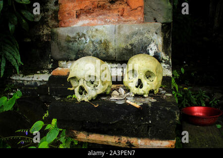 Bali, Indonésie. 4 mai, 2019. Deux crânes accueillent les visiteurs au cimetière du village, Trunyan Kintamani.Trunyan est un village situé dans le district de Kintamani, Bangli Regency, Bali, Indonésie. Ce village est célèbre pour être la plus ancienne village sur l'île de Bali et de ses habitants tout en préservant les traditions de leurs ancêtres. Les gens qui meurent dans ce village ne sera pas brûlé comme les autres hindous, mais de gauche à être détruits naturellement et pas d'odeur. Le Febri Sugita Crédit : Algi SOPA/Images/ZUMA/Alamy Fil Live News Banque D'Images