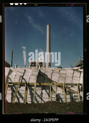 Usine de papier Kraft, Southland (chimie) utilisé dans la fabrication de pâte à papier journal, Lufkin, Texas Banque D'Images