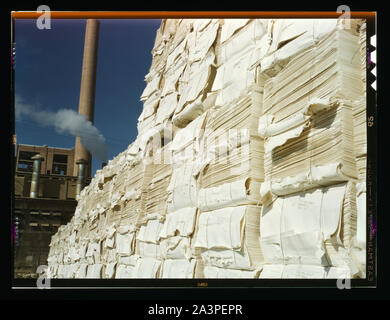 Usine de papier Kraft, Southland (chimie) utilisé dans la fabrication de pâte à papier journal, Lufkin, Texas Banque D'Images