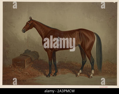 Saint Julien Banque D'Images