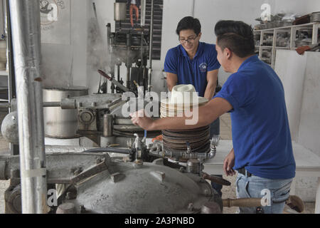 Cuisson à la vapeur et de l'élaboration des panamas traditionnels (paja toquilla) dans la région de Cuenca, Équateur Banque D'Images