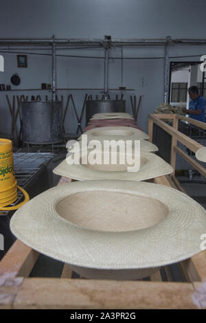 Chapeaux Panama traditionnels (paja toquilla), qui vient en fait d'Équateur Banque D'Images