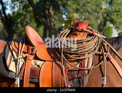Close up en selle sur un cheval brun cowboy avec lasso de corde enroulée sur la corne de la selle. Vert des arbres en arrière-plan. Banque D'Images