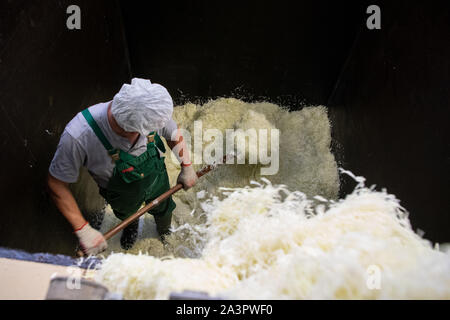 Filderstadt, Allemagne. 09Th Oct, 2019. Un travailleur a raboté les couches de chou dans un récipient pour faire la choucroute. Les agriculteurs sont satisfaits de leur récolte de filderkraut jusqu'à présent. Crédit : Sébastien Gollnow/dpa/Alamy Live News Banque D'Images