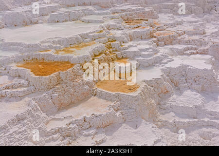 Terrasses de calcaire à un Mammoth Hot Springs dans le Parc National de Yellowstone Banque D'Images