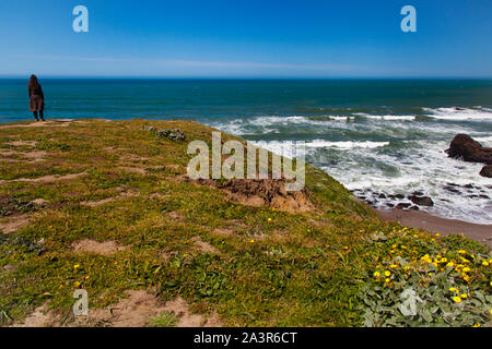 Sonoma Coast State Park Banque D'Images