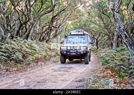 4RM par Australian bush Banque D'Images