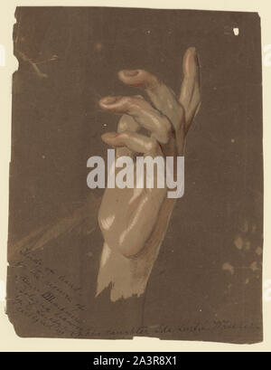 Étude de la part Banque D'Images