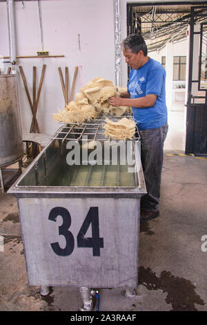 Scènes d'un chapeau de Panama (paja toquilla) usine à Cuenca, Équateur Banque D'Images