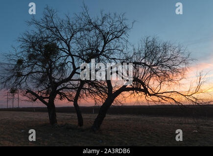 Coucher du soleil en milieu rural scène Tom Green County, Texas, au nord-est de San Angelo Banque D'Images