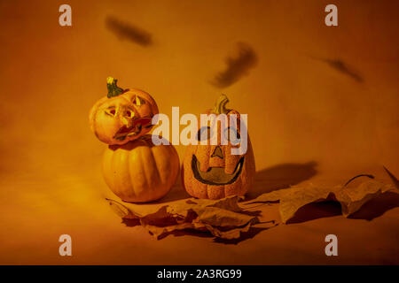 Citrouilles d'Halloween dans la nuit avec spooky bat ombres sur fond orange Banque D'Images