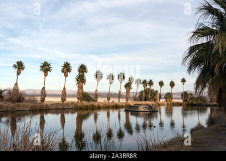 De grands palmiers entourant un étang artificiel appelé Lake Tuendae au centre d'études sur le désert à la petite colonie de Zzyzx, près de Baker et adjacent à la réserve nationale de Mojave en Californie du sud-est Banque D'Images