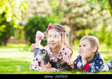 Jouer avec des enfants sans-abri chatons sur l'herbe Banque D'Images