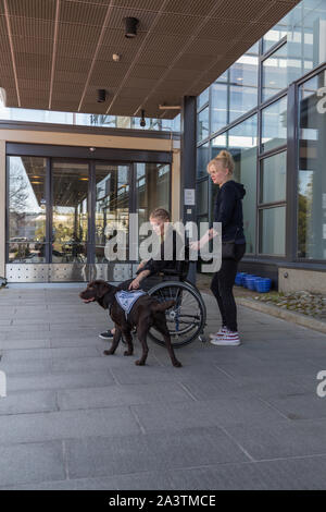 Jeune femme handicapée dans un fauteuil roulant avec un chien-guide Banque D'Images