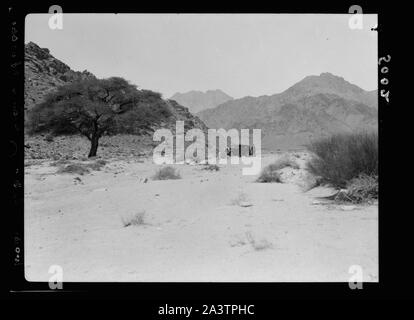 L'Araba (extrémité sud de la Jordanie le grand rift). Akaba (Élath). Golfe d'Akaba et el-Kuntilla. Araba. Wadi el-Utob. La note qu'il descend dans la plaine d'Alava Banque D'Images