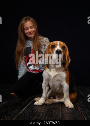 Une jeune fille rousse de 10 ans joue avec un chiot beagle assis sur un parquet en bois sombre en face d'un fond noir. Banque D'Images