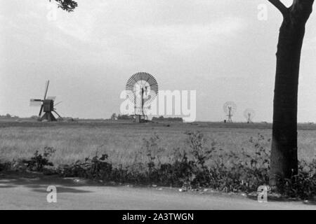 Windmühlen dans le Schleswig-Holstein, 1936. Les moulins à vent dans le Schleswig-Holstein, 1936. Banque D'Images