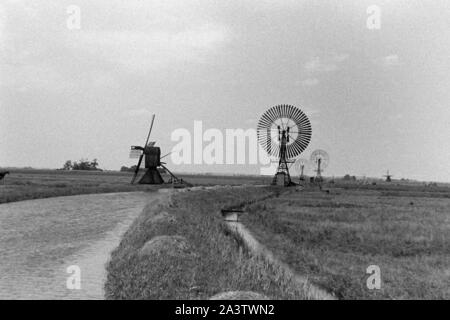 Windmühlen dans le Schleswig-Holstein, 1936. Les moulins à vent dans le Schleswig-Holstein, 1936. Banque D'Images