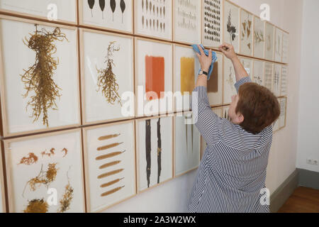 10 octobre 2019, la Thuringe, Altenburg : Le travail "Feuilles et abrasions Couleur de la nature' est nettoyé par un employé avant la conférence de presse pour l'exposition 'herman de vries - tous tous werke 1957 -.'. Gerhard Altenbourg 2019 Le prix rend hommage à Herman de Vries, né en 1931 à Alkmaar, Pays-Bas. Son travail inclut des peintures, des collages, des graphiques, du texte, des images, des sculptures, des livres d'artistes et d'installations pour l'espace public. Il sera également la dernière exposition en 2019 avant la fermeture et rénovation générale du musée depuis plusieurs années. Photo : Bodo/Schackow Zentralbild-dpa/afp Banque D'Images