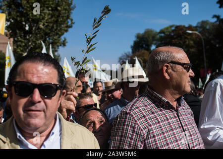 Madrid, Espagne. 10 octobre, 2019. Un homme portant un brach avec des olives pendant une manifestation. Producteurs d'huile d'olive mars pour le ministère de l'Agriculture pour dénoncer les bas prix de l'huile d'olive et contre le tarif de 25 pour cent que l'espagnol olives et huile d'olive fera face aux États-Unis. Credit : Marcos del Mazo/Alamy Live News Banque D'Images