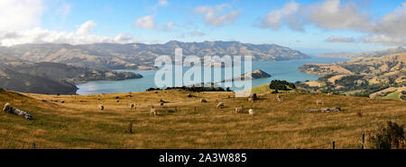 Autour de la Nouvelle Zélande - Akaroa Harbour vu de Summit Road Banque D'Images