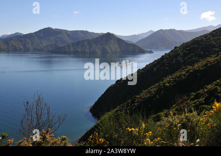 Autour de la Nouvelle Zélande - Picton, Marlborough Sound Banque D'Images
