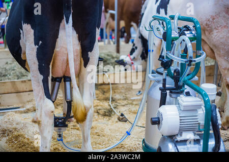 L'équipement de traite automatisée à dairy farm Banque D'Images