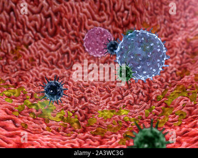 L'intérieur du corps humain, des graphiques 3D, lymphocyte, lymphocytes, macrophages, lymphocytes contre les virus tue les virus à l'intérieur de l'estomac Banque D'Images