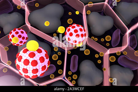 Domaine des cellules graisseuses, de haute qualité de rendu 3D de cellules adipeuses, champ de cellules, la structure de la molécule, des récepteurs sur la surface des cellules Banque D'Images