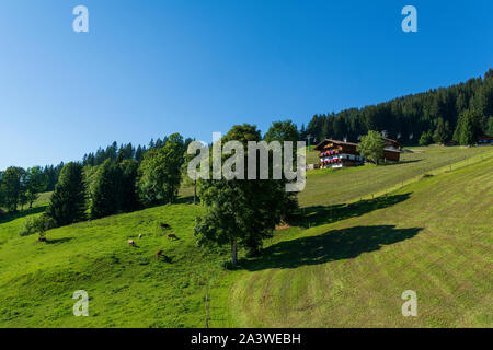 Beau paysage de montagnes de Hohe Salve , partie de l'Alps, Autriche Kitzbuhel Banque D'Images