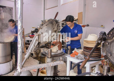 Cuisson à la vapeur et de l'élaboration des panamas traditionnels (paja toquilla) dans la région de Cuenca, Équateur Banque D'Images