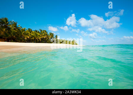 Johnny Cay sur le récif de l'île de San Andres, Colombie, Amérique du Sud Banque D'Images