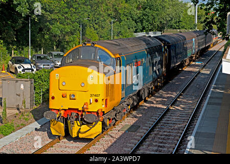British Railways class 37 locomotive diesel pas d'approches Brundall 37407 avec un train de voyageurs de Lowestoft sur le Wherry Lines à Norfolk, UK Banque D'Images