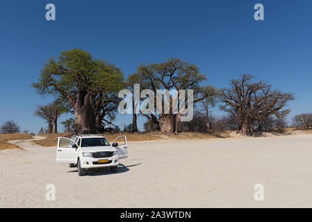 Voiture garée en face de l baines baobab en parc national de nxai pan botswana Banque D'Images