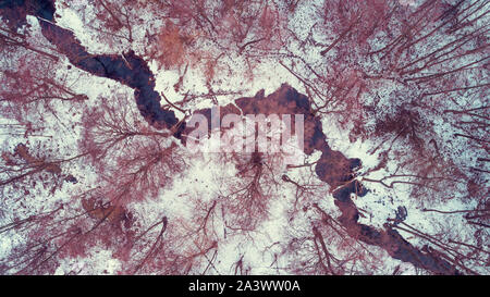 Les régions rurales de l'antenne paysage d'hiver. Vue de dessus d'une petite rivière sinueuse dans la forêt en hiver neige Banque D'Images