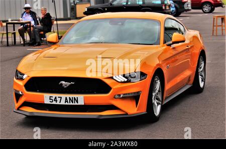 2019 Ford Mustang GT (orange) Banque D'Images