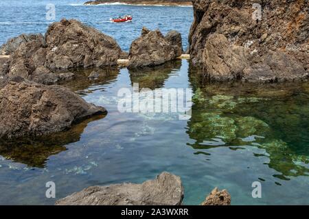 Les nageurs, les piscines naturelles dans la roche volcanique, Porto Moniz, île de Madère, Portugal Banque D'Images