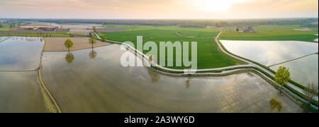 Champs inondés pour la culture du riz dans la vallée du Po, en Italie. Vue panoramique vue aérienne. Paysage de campagne typique du nord de l'Italie avec des chemins de terre, f Banque D'Images